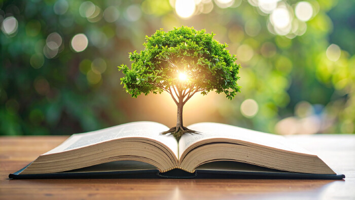 Baum wächst aus einem offenen Buch