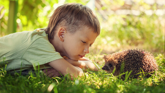Bub und Igel sehen sich an