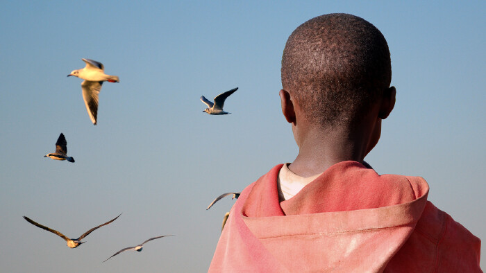 Junger afrikanischer Bub blickt aufs Meer und schaut den M&ouml;wen zu