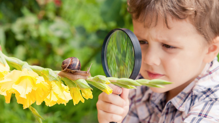 © altanaka, stock.adobe.com Junge beobachtet Schnecke © altanaka, stock.adobe.com