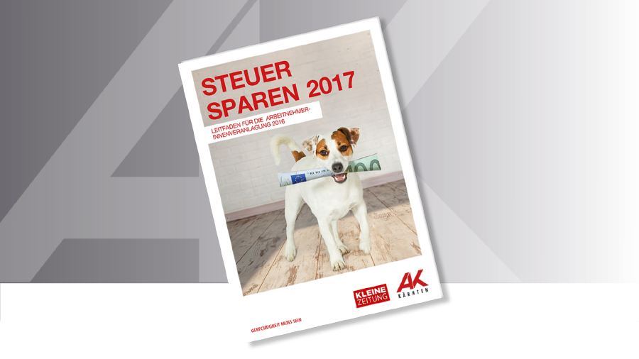 Steuer sparen 2017 © Karlheinz Fessl, AK Kärnten Steuer sparen 2017 © Karlheinz Fessl, AK Kärnten