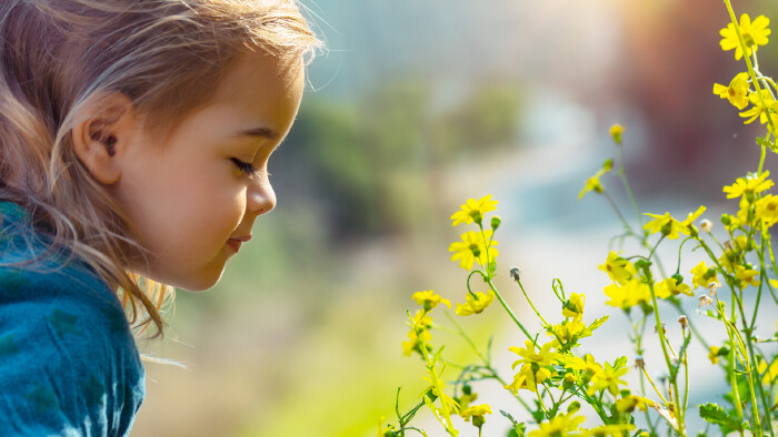 Kind riecht an einer Blume