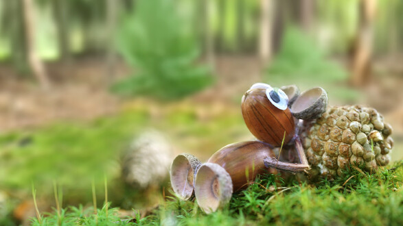 im Wald liegen im Herbst
