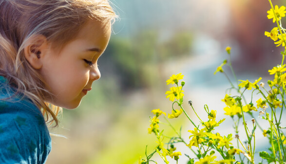 Kind riecht an einer Blume
