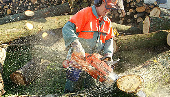 Ein Holzarbeiter mit Motorsäge zerlegt einen Baumstamm © Bergringfoto, Fotolia.com